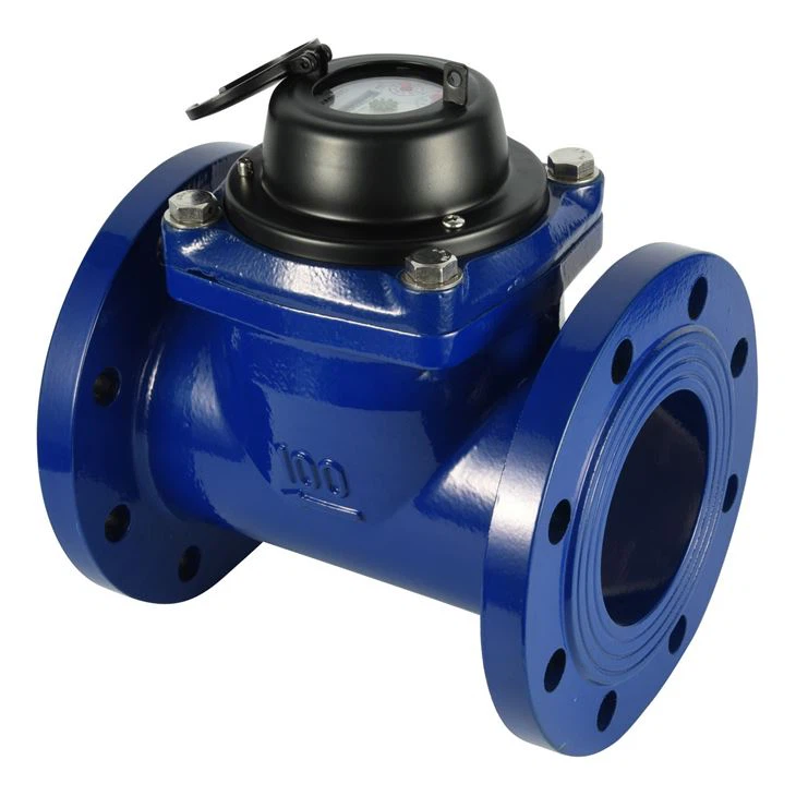 Woltman Water Meter